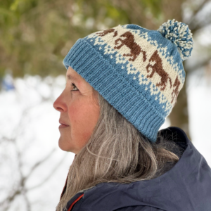 Solstice Horse Hat